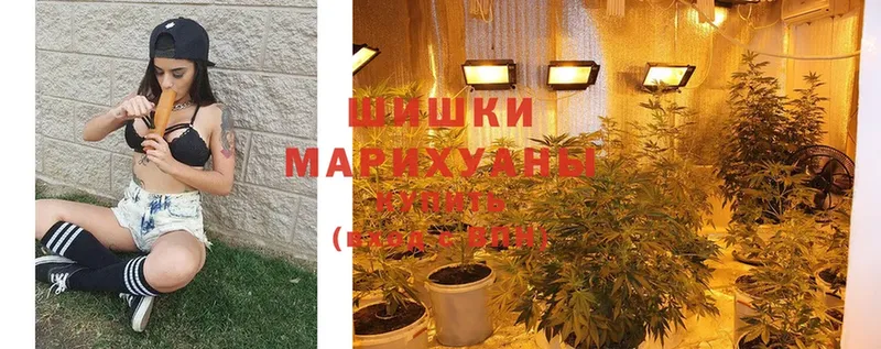 где продают   Заречный  мега tor  Шишки марихуана Ganja 